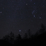 Звездите на Зимния триъгълник