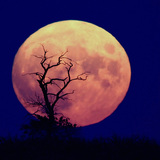 Изгряваща Луна