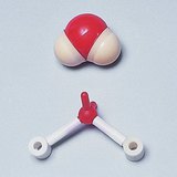 Варианти на триизмерно представяне на молекулата на водата