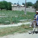 Полупустинни територии в Туранската низина