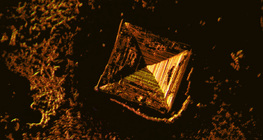 Кристали на готварска сол