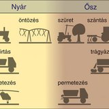 Tennivalók az almatermesztés során