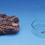 Дървото гние бавно, но гори бързо