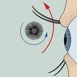 Използване на спиралата за мигли
