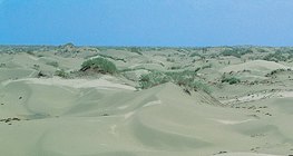 Пустиня с умерен климат в Азия