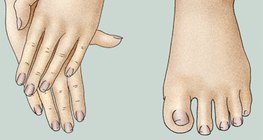 Добре поддържани ръце и крака