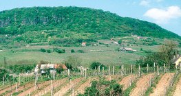 Обработването на земята в посока, паралелна на наклона, повишава ерозията