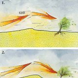 Egy vándorbucka születése és halála