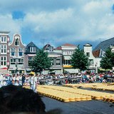 Пазарът за сирена в Алкмар