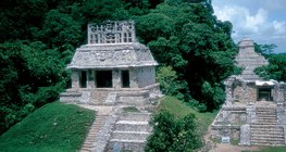 Тропична дъждовна гора с останки от древна култура