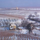 Зимен пейзаж