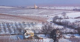 Зимен пейзаж