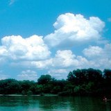 Кълбесто облаци