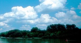 Кълбесто облаци