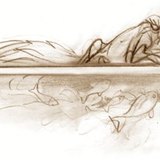 Под ледената покривка, в "по-топлата" вода и в най-студеното време животните оцеляват