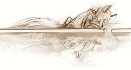 Под ледената покривка, в "по-топлата" вода и в най-студеното време животните оцеляват