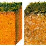 Различни типове почва