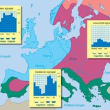 A folyók vízjárása a különböző éghajlatokon