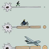 Предаване на нервен импулс