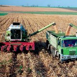 Събиране на царевица