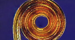 Хобот на пеперуда