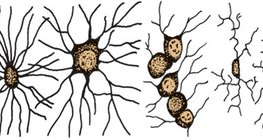 Глиални клетки