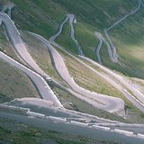 Серпентини