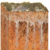 Засолена почва