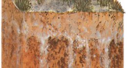 Засолена почва