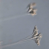 Талофитен едноклетъчен организъм (Epistilis sp.)