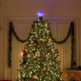 Коледна елха