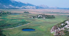 Карстово поле