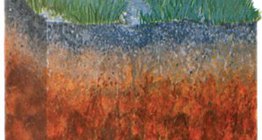 Кафява горска почва