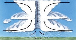 Тропически циклон