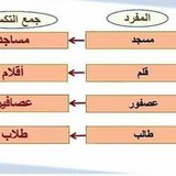 جمع التكسير1