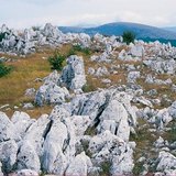 Пейзаж с карстови форми