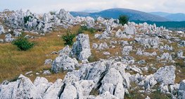 Пейзаж с карстови форми