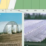 Начини за производстяо на зеленчуци