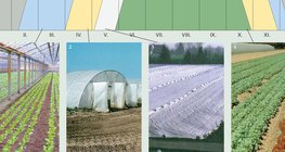 Начини за производстяо на зеленчуци