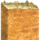 Пясъчна почва