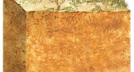 Пясъчна почва