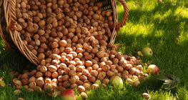 Кошница с орехи