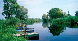 Тръстиката пречиства вливащата се в езерата вода