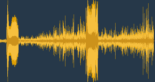 Черен кълвач