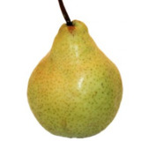 Hardenpont vajkörte téli körte