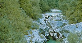 Речна долина в платото Карст