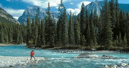 Тайгата в Канада