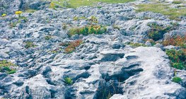 Варовикова пътна настилка