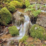 Възглавница от мъх