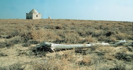 Полупустинни територии в Средна Азия